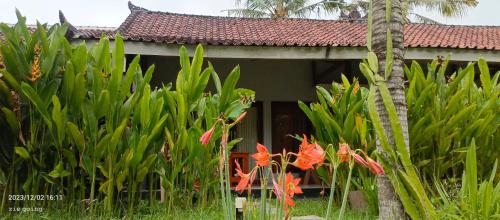 龙目岛库塔Mengalung Bungalow的前面有一堆植物的房子