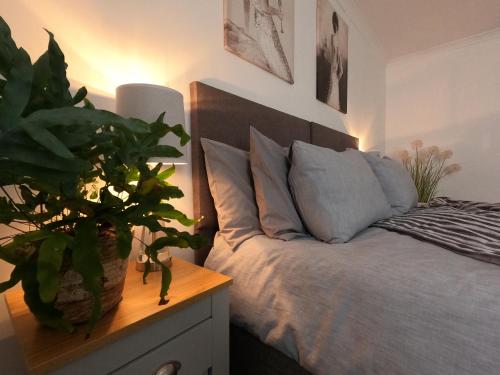 布雷肯Cribyn Lodge的卧室,卧室配有一张睡台上种植植物的床