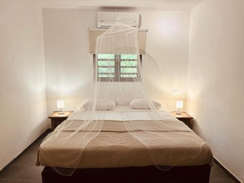 克拉伦代克海景别墅的一间卧室配有一张带蚊帐的床
