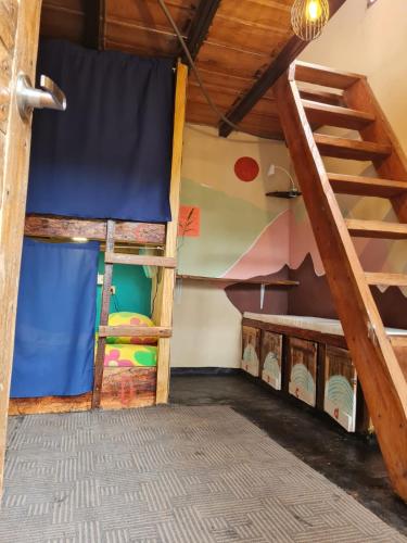 圣卡塔利娜岛SASY Dorm的客房设有两张双层床和梯子