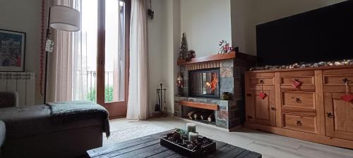 埃斯特里-德阿内乌Apartament Ca La Nena的客厅设有壁炉和电视。