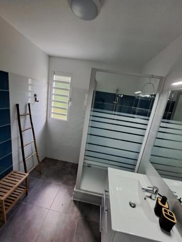 莱特鲁瓦西莱Appartement neuf 4/6 personnes, près de la plage的一间带水槽和镜子的浴室
