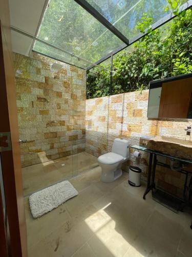拉维加La ceiba cabaña的一间带玻璃淋浴和卫生间的浴室
