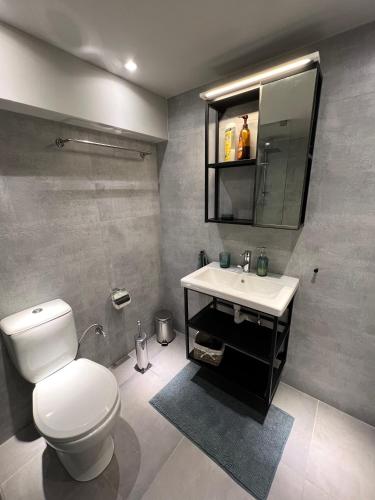 特里卡拉Celeste Loft的浴室配有白色卫生间和盥洗盆。