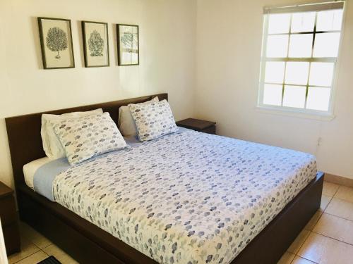 爱丽丝镇Bimini Seaside Villas - Green Cottage with Bay/Marina View的一间卧室配有一张带被子和枕头的床