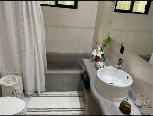艾库玛尔Keiki House的浴室配有盥洗盆、卫生间和浴缸。