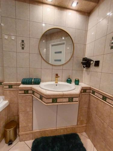 塞伊内Apartament Wileńska 15的一间带水槽和镜子的浴室