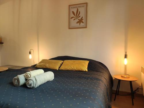 富瓦Le Charme - Focalimmo (Centre)的一间卧室配有一张床,上面有两条毛巾