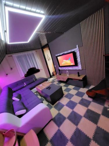 特尔日奇Alpinejka House的客厅配有紫色沙发和电视