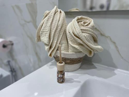 波蒂奇Casa Vacanze Riccardi的浴室内一个台面上的毛巾机