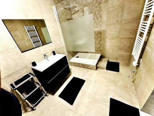 尚蒂伊Appartement duplex à Chantilly centre的一间带水槽和镜子的浴室