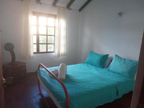 莱瓦镇Hostal central的一间卧室配有一张带蓝色床单的床和一扇窗户。