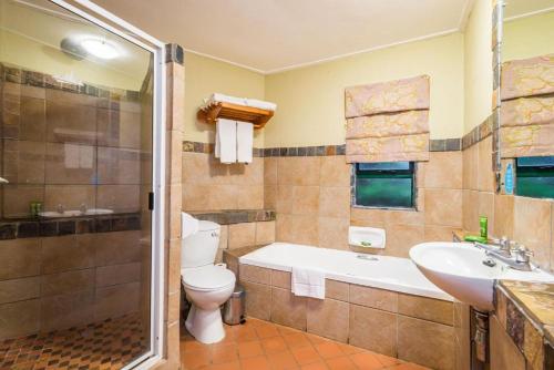 伯格维尔aha Alpine Heath Resort的带浴缸、卫生间和盥洗盆的浴室