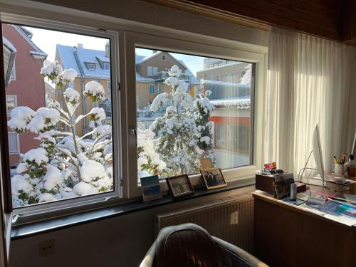 腓特烈港Haus Pia Executive Suites的窗户,有雪覆盖的圣诞树