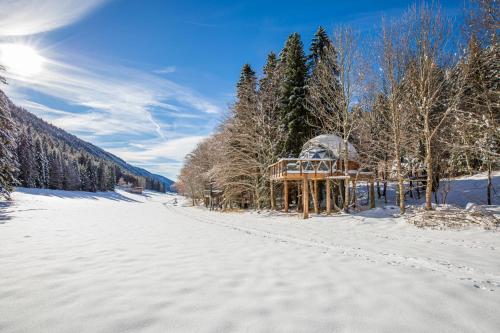 奥特朗Dôme panoramique tout confort au cœur du Vercors的森林中带凉亭的雪覆盖道路