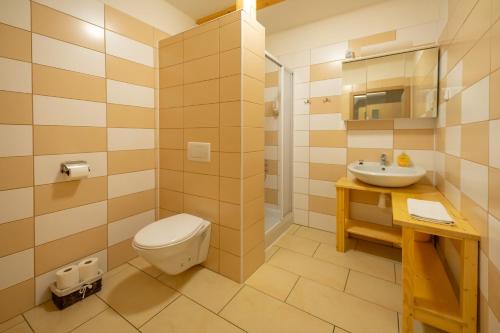 科热诺夫Penzion Sokolovna的一间带卫生间和水槽的浴室