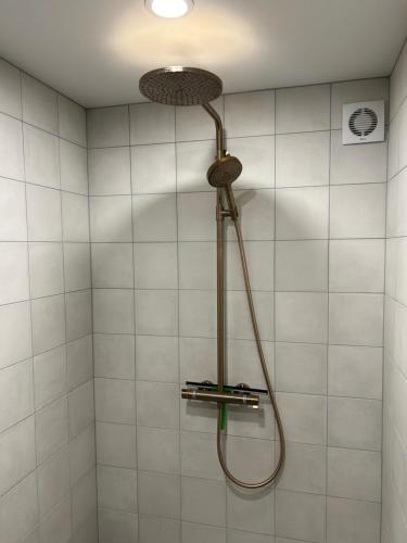 Tammemäe Spa Lodge的浴室内配有淋浴和头顶淋浴