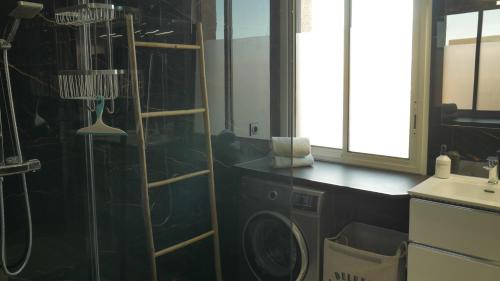 佩皮尼昂Le Penthouse des Halles的带淋浴和盥洗盆的浴室