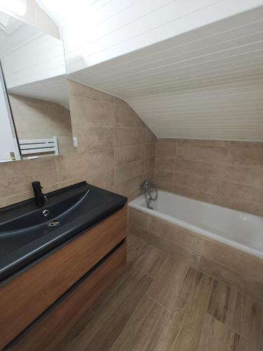 托农莱班Appartement proche du centre的浴室配有盥洗盆和浴缸。