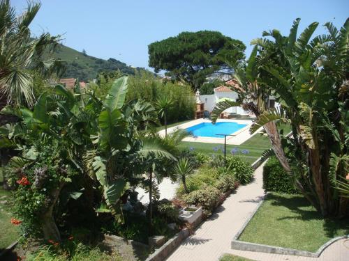 马尔韦拉Casa De Hospedes Flor Do Jardim的一个带游泳池和棕榈树的花园