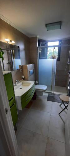 MarquinaAbeletxe的一间带水槽、卫生间和淋浴的浴室