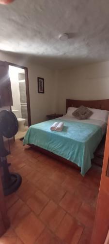 巴里查拉Hospedaje La Casita de Maria的一间卧室配有一张带书桌和灯的床。
