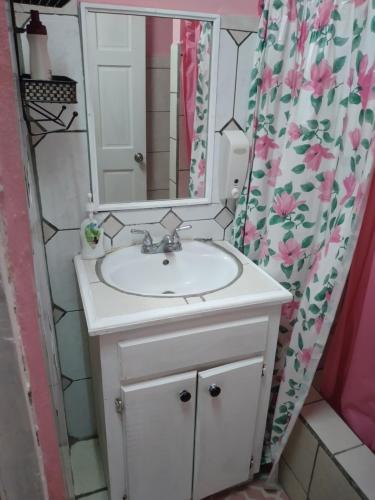 卡斯特里山景旅馆的浴室设有白色水槽和镜子