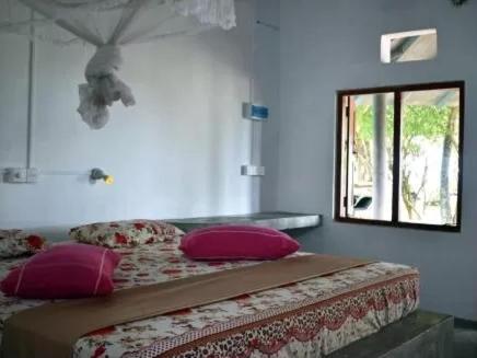 坦加拉The Alpha Monkey hotel & Tree house的一间卧室配有带粉红色枕头的床和窗户。