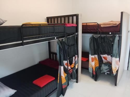 涛岛Tiki Tribe Bar & Hostel的客房内提供两张双层床。