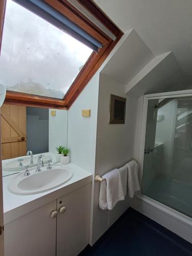 朗塞斯顿老面包房旅馆的一间带水槽和玻璃淋浴的浴室