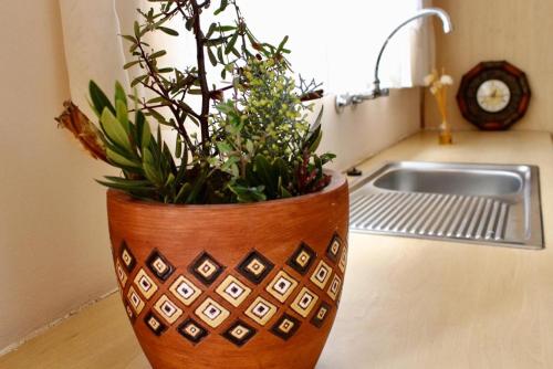Khutsong Lodge的花瓶里植物坐在厨房柜台上