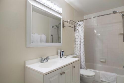 华盛顿Dupont Circle 1BR nr U St Metro Glens Mkt WDC-176的一间带水槽、卫生间和镜子的浴室