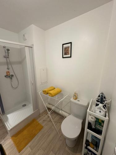 托尔西Paris- Disney - Parking privé !PKN!的白色的浴室设有卫生间和淋浴。