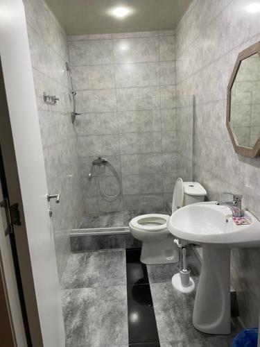 第比利斯Hotel ERA的浴室配有卫生间、盥洗盆和淋浴。
