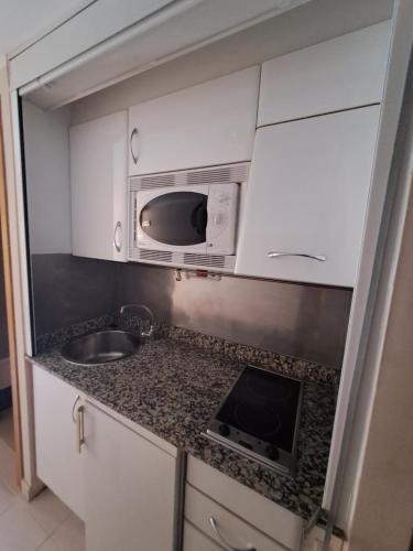梅基嫩萨EL MESON的一间带水槽和微波炉的小厨房
