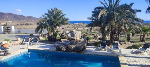 阿尔么丽亚BlueMar的一个带喷泉和棕榈树的游泳池