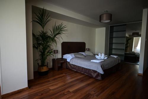 迪马诺卡多林纳Hotel OSTREDOK的一间卧室配有一张床和盆栽植物