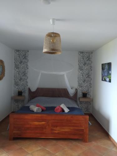 圣若瑟Les oliviers sous le cocotier的一间卧室配有一张床和一个吊灯
