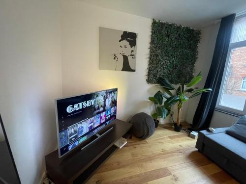 布鲁塞尔Appartement spacieux pour un séjour inoubliable的客厅配有台面上的平面电视