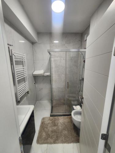 斯科普里PA-NA apartments的带淋浴、卫生间和盥洗盆的浴室