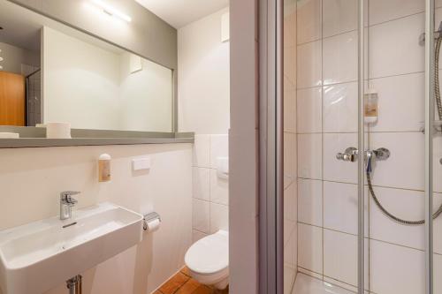 魏玛Hotel Erbenhof的浴室配有卫生间、盥洗盆和淋浴。