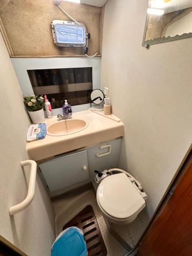 巴塞罗那Andrea house’s的一间带卫生间和水槽的小浴室