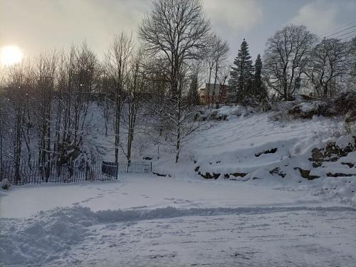 斯克拉斯卡波伦巴Kurzacka Chata的一座有树木和栅栏的雪覆盖的院子
