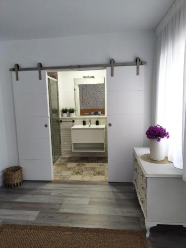 科尔多瓦APARTEMENTO EN LA RIBERA的一间带水槽和镜子的浴室