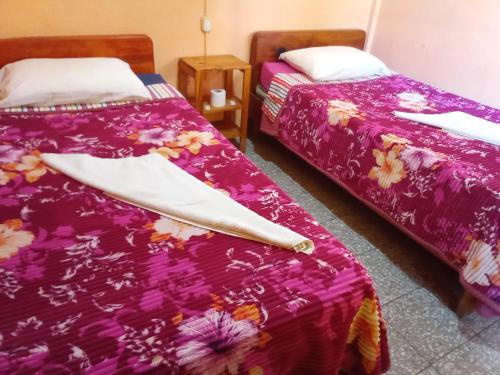 帕纳哈切尔Hospedaje Santo Domingo的两张睡床彼此相邻,位于一个房间里