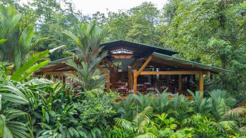 福尔图纳Chachagua Rainforest Hotel & Hot Springs的森林中树木的建筑物