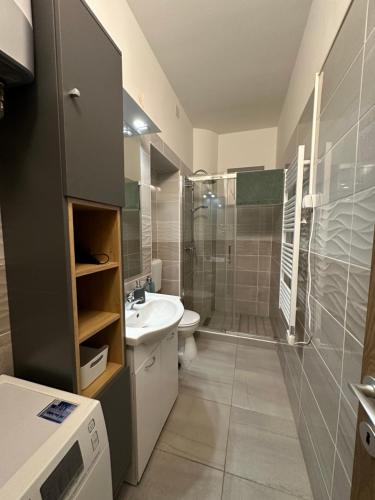 毛科Travel Studio的带淋浴、卫生间和盥洗盆的浴室
