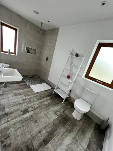 Luxury Home in Idyllic Connemara的一间浴室