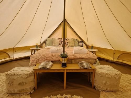Mungo蒙哥洛奇度假村的帐篷内一间卧室,配有一张床