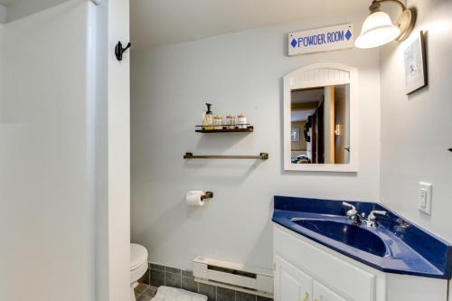 Montgomery CenterPet-Friendly Home with Deck 4 Mi to Jay Peak Resort的浴室设有蓝色水槽和镜子